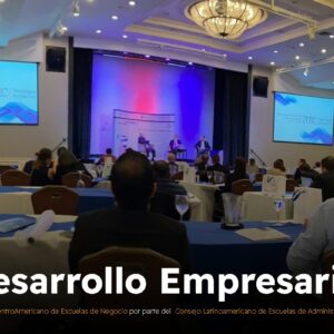 Desarrollo Empresarial