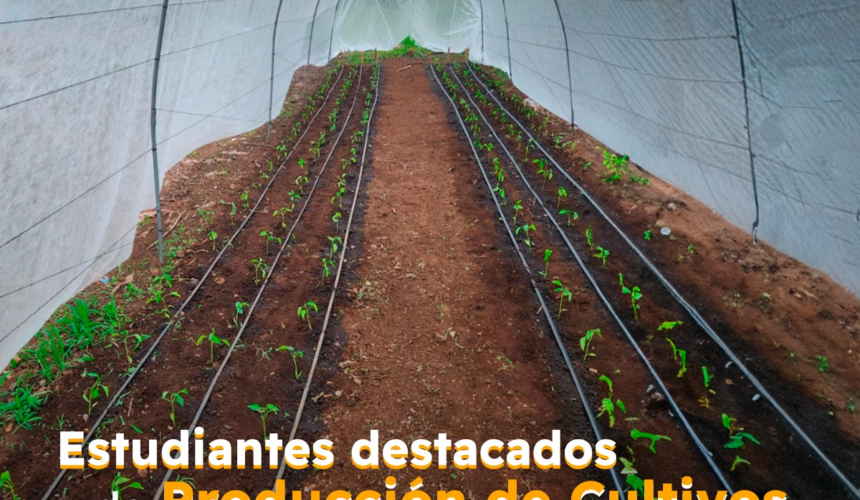 Agricultura Del Futuro