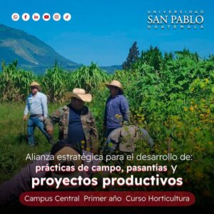 Proyectos Productivos