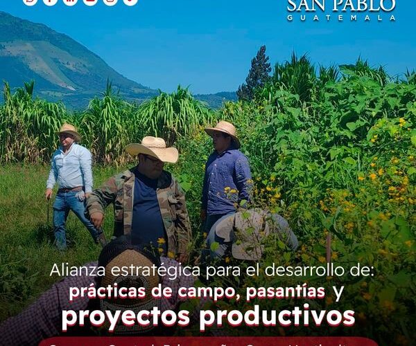 Proyectos Productivos