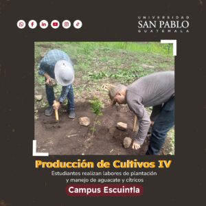 Cultivando El Futuro