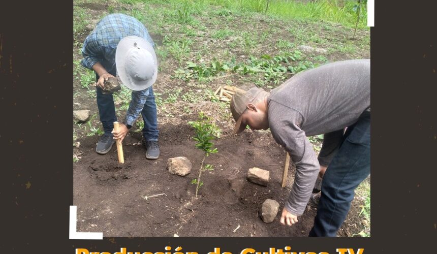 Cultivando El Futuro