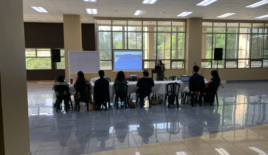 Taller de Cuidados Paliativos